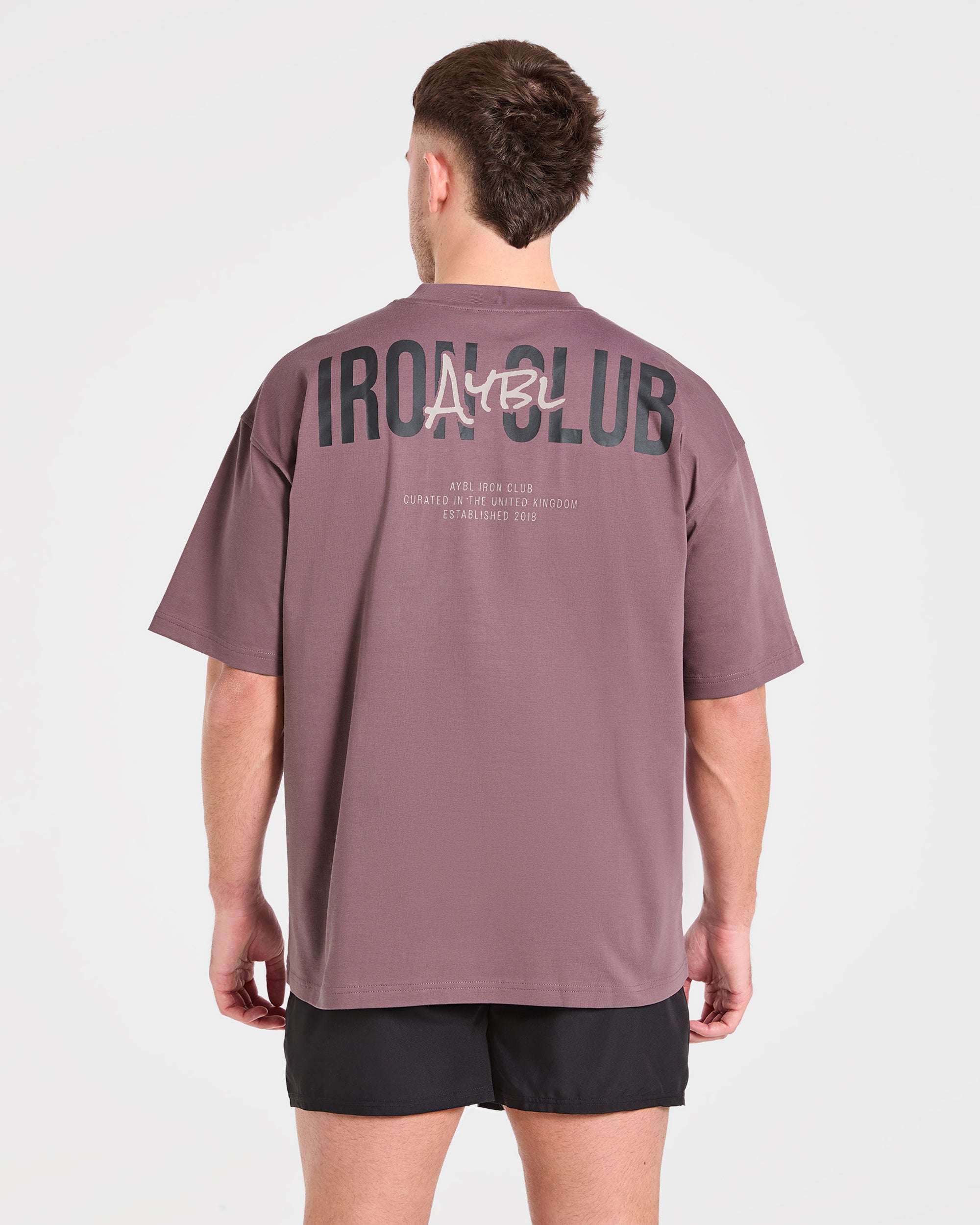 T-shirt Oversized AYBL Iron - Purple Flint